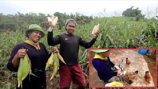 Namitas ng Mais at Nagluto ng Native Chicken kasama si KaSister  Buhay Bukid [upl. by Enilrem28]