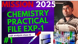 chemistry practical file 2025salt analysis practical class 12 [upl. by Hsaka]