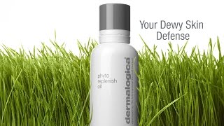 Phyto Replenish Oil  Dermalogica [upl. by Firestone112]