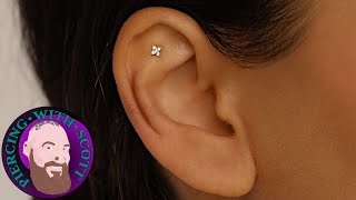 The Whole Truth  Flat Piercing [upl. by Trixi]