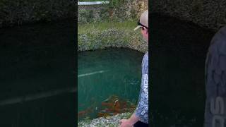 I Found an Abandoned Pet Store abandoned pet animal fish rescue bassfishingproductions [upl. by Viens]