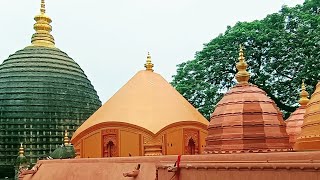 Ma kamakhya Mandir 🙏🙏🙏 [upl. by Enisamoht659]