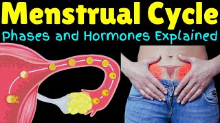 The Menstrual Cycle – Phases and Hormones Explained  Menstruation Explained [upl. by Zitvaa]