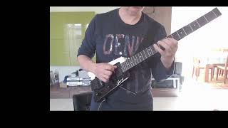 Steinberger Guitars GtPro Deluxe WH [upl. by Kcid]