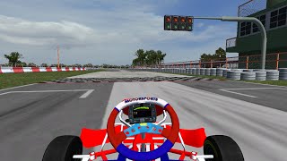 Rotax Max  Birel Kart  Kartodromo de Zarate  Onboard rFactor [upl. by Llenaej]