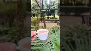 Top 9 best garden cafes for winter dates in Delhi Cafe Hopping 😍🔥 cafehopping newdelhivlog [upl. by Evilc810]