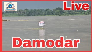 Damodar Temporary Bridge Pani Me Bah Geya [upl. by Dloraj]