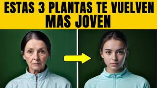 🥬3 PLANTAS de la Juventud que te dan COLÁGENO y FAVORECEN tu PIEL l Anti Envejecimiento [upl. by Annirac871]