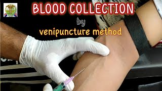 Blood collection by venipuncture method l How to collect venous blood l safe and effective way [upl. by Nya]