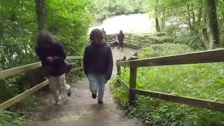 Aysgarth falls National Park [upl. by Ahsercul519]