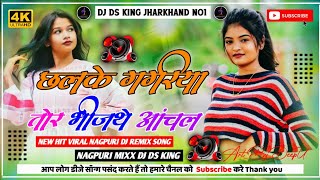 CHHALKEGAGRIYATORBHINJTHEANCHAL NETHETHNAGPURDJREMIXSONG2024 DJDSKINGJHARKHAND [upl. by Aluk]