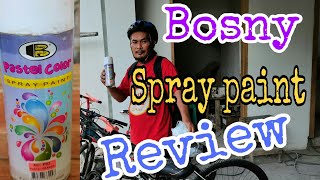 BOSNY SPRAY PAINT REVIEW  PASTEL COLOR NO PO2 PASTE ORANGE [upl. by Schifra]