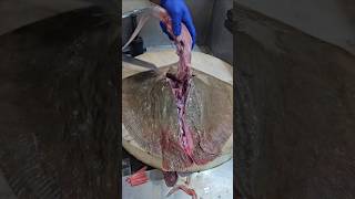 Stingray Fish Fastest Cutting Skillsshorts😱 [upl. by Hnim]