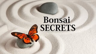 Youll REGRET Not Knowing These Bonsai Secrets [upl. by Icyaj]