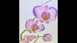 Orchids in watercolor [upl. by Benedikt714]