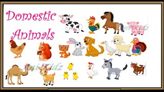 Domestic Animals  Farm Animals  Pets  DOMESTIC ANIMALS NAMES with Classic Pictures  Kids GK [upl. by Kiri]