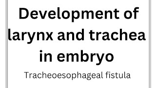 Re A 17 Development of larynx and trachea Tracheoesophageal fistula Anomalies of trachea [upl. by Chura425]