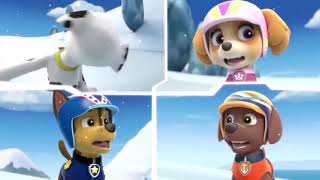 Paw Patrol Season 1 Episodes 17 Wipeouts [upl. by Sturrock]