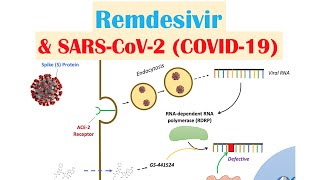 Remdesivir amp SARSCoV2 COVID19  Mechanism of Action Adverse Effects AntiViral Properties [upl. by Ybanrab639]