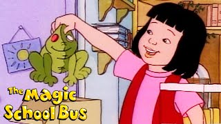 Meet Wanda  And Her Pet Bullfrog Bella  The Magic School Bus [upl. by Davilman]