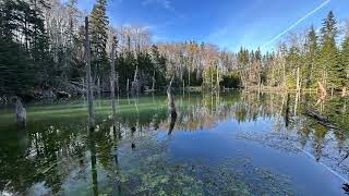 Baddeck Karst ponds Cape Breton Island [upl. by Reniar]