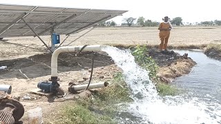 Lubi 3hp Best Solar Water Pumps In IndiaEverything You Need To Knowsolarwaterpump [upl. by Heins914]