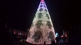 Longleat Singing Christmas Tree Show [upl. by Hildegarde]