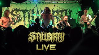 Stillbirth  Global Error  live at Helvete Oberhausen  May 2024 [upl. by Walrath]