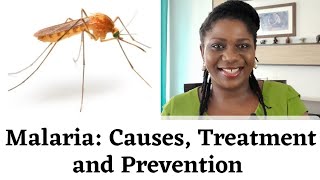 How To Treat Malaria at Home  Causes and Prevention of Malaria [upl. by Akenn503]