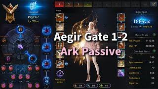 Lost Ark Aegir With Cheapo Ark Passive Read Pin [upl. by Banebrudge]