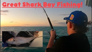 Two massive Mulloways caught near Monkey Mia  Shark Bay [upl. by Leahcym611]