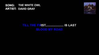 David Gray  The White Owl Karaoke [upl. by Nathanial]