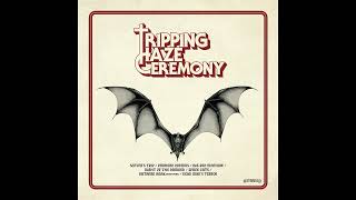 TRIPPING HAZE CEREMONY  Tripping Haze Ceremony Full Album [upl. by Asiral365]