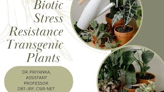 Transgenic Plants Resistance to Abiotic Stress [upl. by Dlarej]