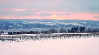 Finger Lakes Cool Climate Wines [upl. by Lever]