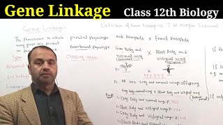 Gene Linkage Class 12 Biology [upl. by Wynne]