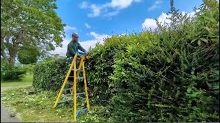 Hedge Maintenance work June 24 [upl. by Merchant]