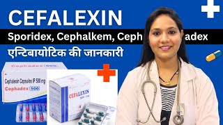 Cephalexin Capsule किस काम आता है  Sporidex Cephadex Cephaxin Cephalkem  Antibiotic [upl. by Ellehcen]