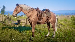 Red Dead Redemption 2 Guaranteed Hungarian Halfbred for Horseman 10 early location in description [upl. by Aroled]