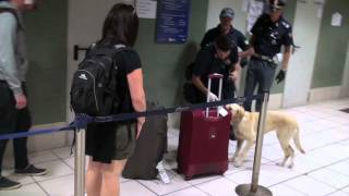 Controlli della Polizia nella stazione Termini di Roma [upl. by Aciras]