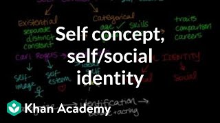 Self concept self identity and social identity  Individuals and Society  MCAT  Khan Academy [upl. by Ridan]