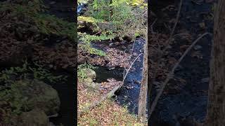 Stream near rental house in lanesborough Massachusetts [upl. by Carlye]