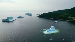 Icebergs Seal Cove Whitebay Newfoundland [upl. by Erminia145]