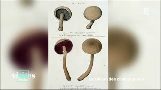 Le champignon de Paris de Louis XIV à Napoléon  Visites privées [upl. by Lednik47]