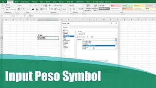 How to Input Philippine Peso Symbol in Excel [upl. by Wyatan943]