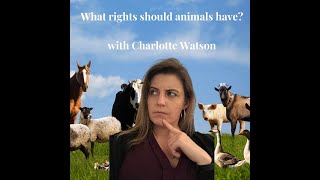 What rights should animals have [upl. by Stalder]