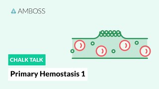 Primary Hemostasis  Part 1 Platelet Adhesion [upl. by Assin539]