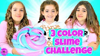 3 Color Slime Challenge [upl. by Oileduab]