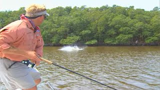 Monster Tarpon Fish on Plugs in Florida Everglades National Park [upl. by Deering]