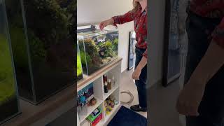 Water change aquascaping aquarium aquascape fishtank plantedtank fish bettafish fishkeeping [upl. by Rostand]